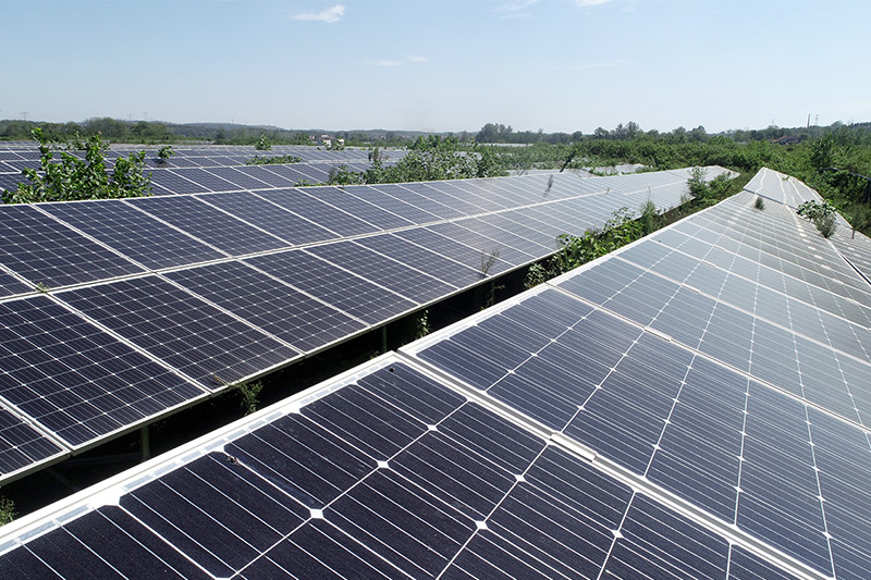 日本住友&middot;抗氧劑